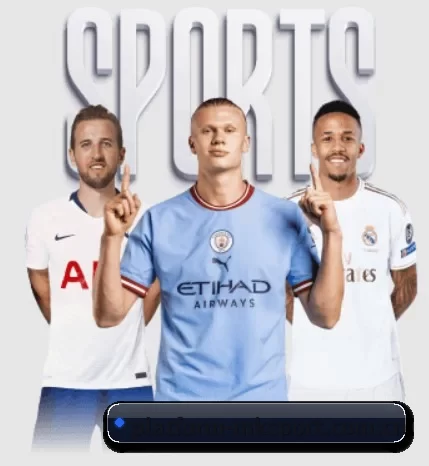 platform-mksport.com.cn的方向